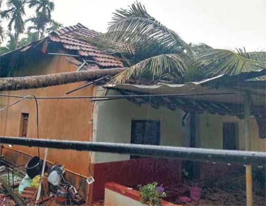 Belthangady rain 